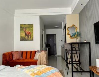 1 Bedroom Apartment For Rent in Kiambu Road