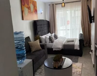 1 Bedroom Apartment For Rent in Fedha