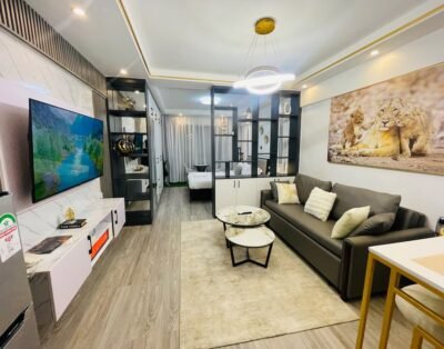 Studio Apartment For Rent in Kileleshwa
